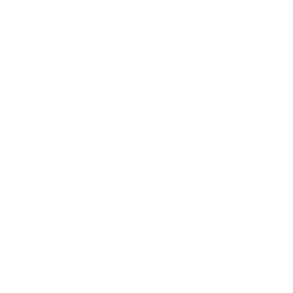 WeebNation logo